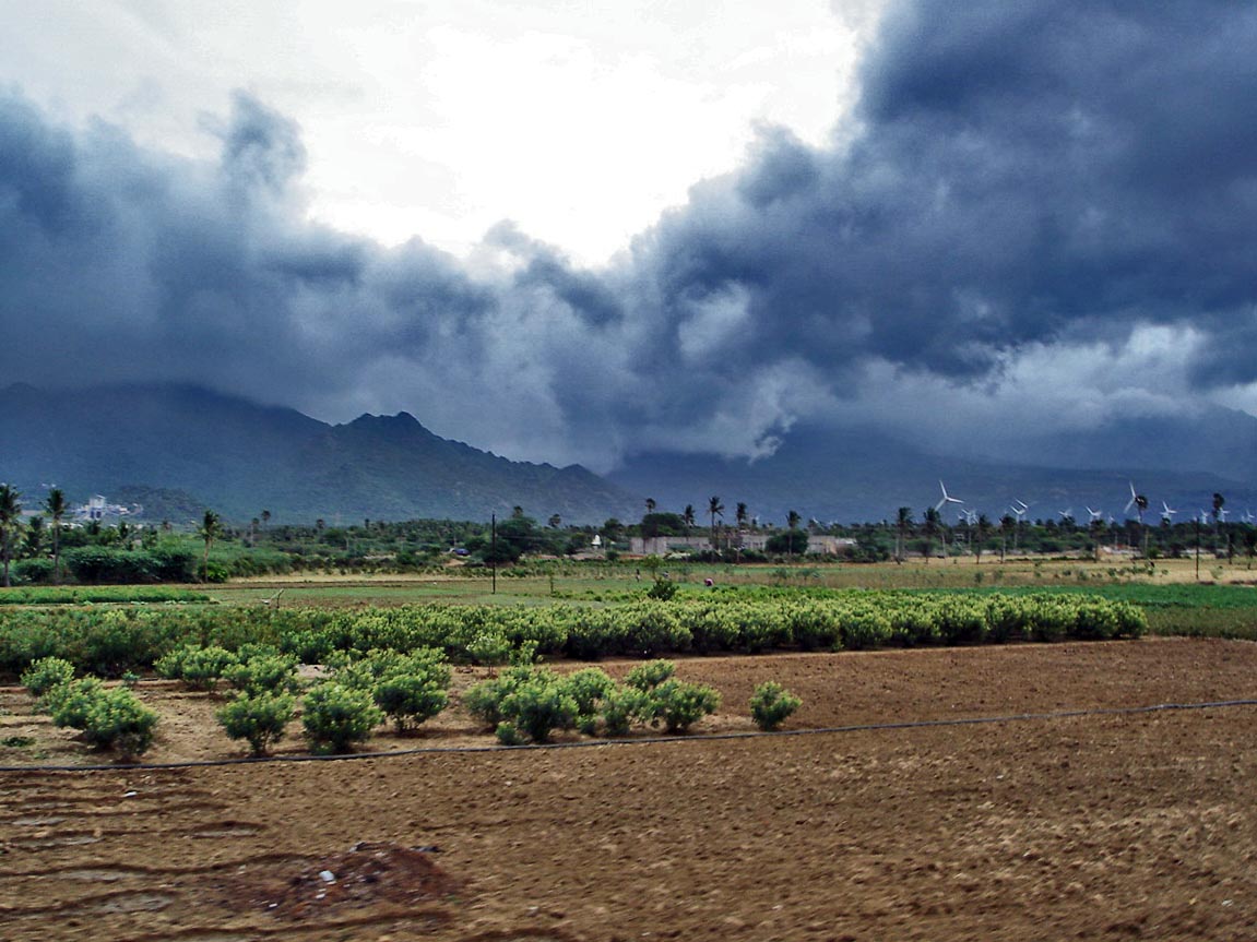 Beating the Monsoon Blues: Ayurvedic Tips for Monsoon Health in Kerala